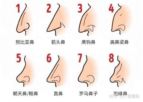 鼻孔三角形 面相|十五种鼻型，你属于哪一种？